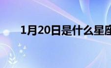 1月20日是什么星座（水瓶座的特点）