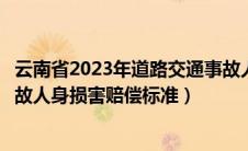 云南省2023年道路交通事故人身损害赔偿标准（道路交通事故人身损害赔偿标准）