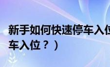 新手如何快速停车入位视频（新手如何快速停车入位？）