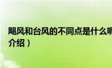 飓风和台风的不同点是什么呢（关于飓风和台风的不同点的介绍）