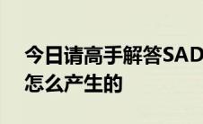 今日请高手解答SADU.EXE到底是什么程序怎么产生的