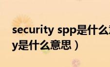 security spp是什么意思（汽车上的security是什么意思）