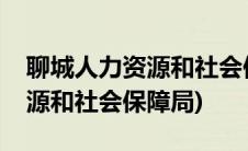 聊城人力资源和社会保障局电话(聊城人力资源和社会保障局)