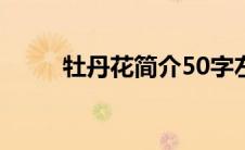 牡丹花简介50字左右(牡丹花简介)