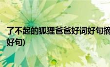 了不起的狐狸爸爸好词好句摘抄大全(了不起的狐狸爸爸好词好句)