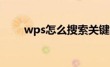 wps怎么搜索关键字(wps怎么搜索)