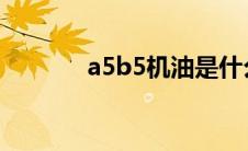 a5b5机油是什么级别(a5 b5)