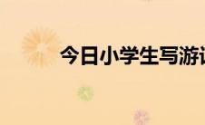 今日小学生写游记怎么写 400字