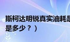 斯柯达明锐真实油耗是多少（斯柯达明锐油耗是多少？）