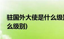 驻国外大使是什么级别干部(驻国外大使是什么级别)