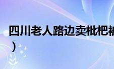 四川老人路边卖枇杷被城管撵（路边的僵尸车）