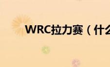 WRC拉力赛（什么是WRC拉力赛）