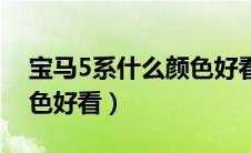 宝马5系什么颜色好看耐脏（宝马5系什么颜色好看）