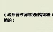 小说原著改编电视剧有哪些（这几部电视剧都是根据小说改编的）