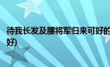 待我长发及腰将军归来可好的意思(待我长发及腰将军归来可好)