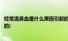 经常流鼻血是什么原因引起的呢(经常流鼻血是什么原因引起的)