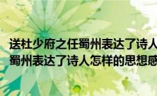 送杜少府之任蜀州表达了诗人怎样的思想情感(送杜少府之任蜀州表达了诗人怎样的思想感情)