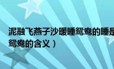 泥融飞燕子沙暖睡鸳鸯的睡是什么意思（泥融飞燕子沙暖睡鸳鸯的含义）