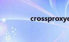 crossproxyexe修复方法