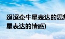 迢迢牵牛星表达的思想感情10个字(迢迢牵牛星表达的情感)