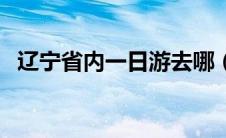 辽宁省内一日游去哪（辽宁省一日游攻略）