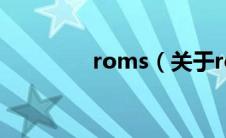 roms（关于roms的介绍）