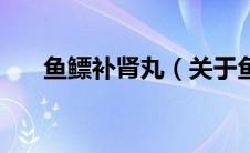 鱼鳔补肾丸（关于鱼鳔补肾丸的介绍）