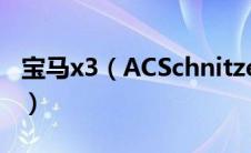 宝马x3（ACSchnitzer展示更强大的宝马M4）