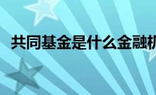 共同基金是什么金融机构(共同基金是什么)