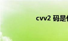 cvv2 码是什么（cv）