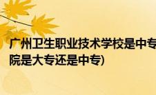 广州卫生职业技术学校是中专还是大专(广州卫生职业技术学院是大专还是中专)