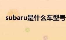 subaru是什么车型号（subaru是什么车）