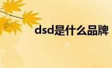 dsd是什么品牌（DS品牌介绍）