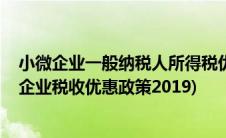 小微企业一般纳税人所得税优惠政策2020(一般纳税人小微企业税收优惠政策2019)