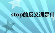 stop的反义词是什么（stop的例句）