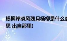 杨柳岸晓风残月杨柳是什么意思(杨柳岸晓风残月 是什么意思 出自那里)