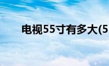 电视55寸有多大(55寸液晶电视尺寸)