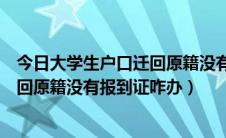 今日大学生户口迁回原籍没有报到证咋办呢（大学生户口迁回原籍没有报到证咋办）