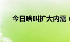 今日啥叫扩大内需（什么叫扩大内需）