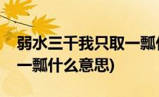 弱水三千我只取一瓢什么意思(溺水三千只取一瓢什么意思)