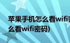 苹果手机怎么看wifi密码最简单(苹果手机怎么看wifi密码)