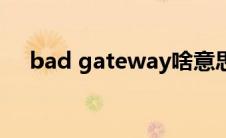 bad gateway啥意思（bad gateway）