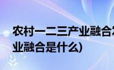 农村一二三产业融合发展案例(农村一二三产业融合是什么)