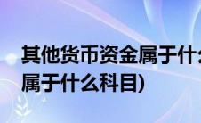 其他货币资金属于什么类账户(其他货币资金属于什么科目)