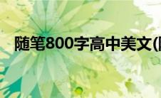 随笔800字高中美文(随笔800字高中范文)