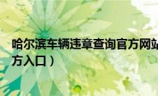 哈尔滨车辆违章查询官方网站（哈尔滨车辆违章查询系统官方入口）