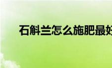 石斛兰怎么施肥最好(石斛兰怎样盆栽)