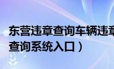 东营违章查询车辆违章查询（东营机动车违章查询系统入口）