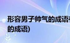 形容男子帅气的成语有哪些(求形容男子帅气的成语)