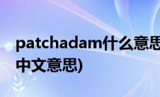 patchadam什么意思中文翻译(mem patch中文意思)